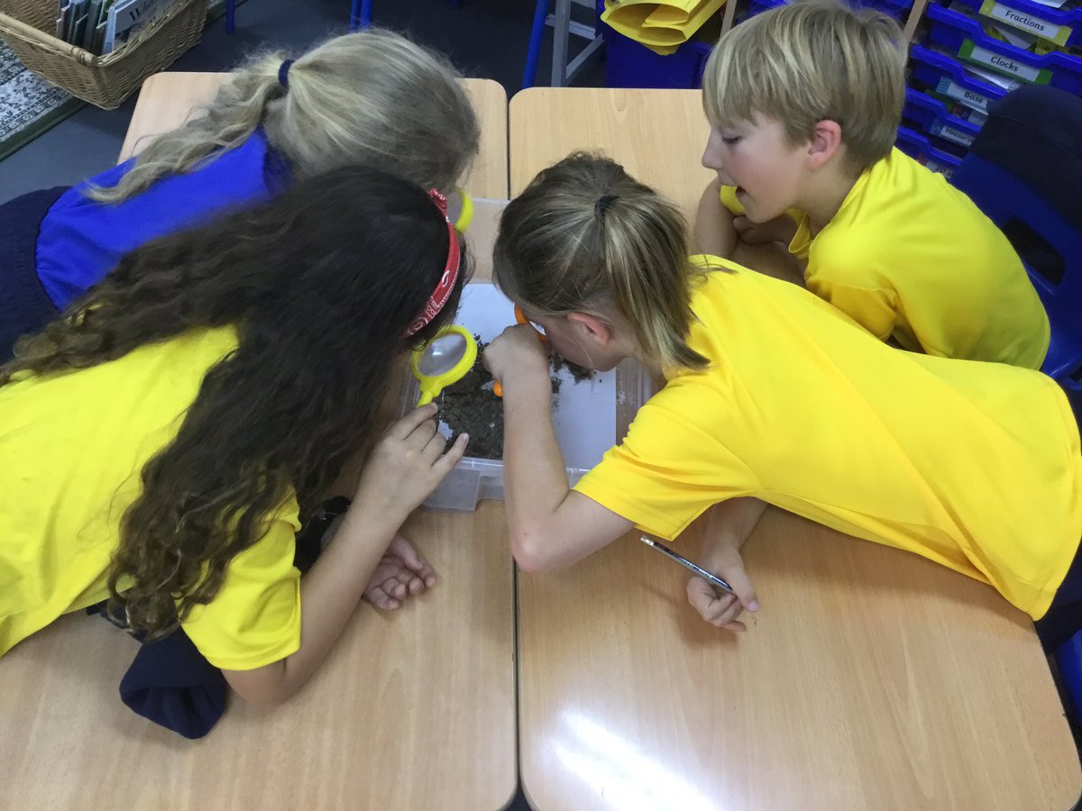 BSM Year 3 tweet media