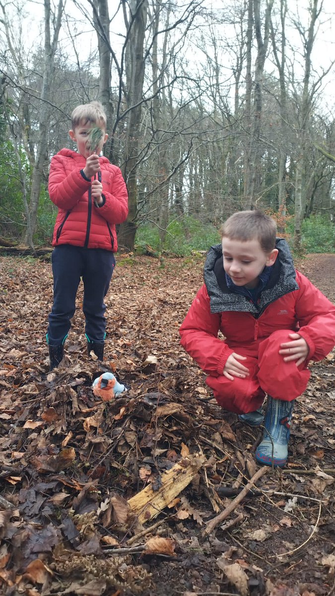 ACE_Girvan's tweet photo. P1/2 of @sacred_heartps had an ACE Forest School Day yesterday! #ACEdays #forestschool #outdoorlearning https://t.co/6y01dySYsx