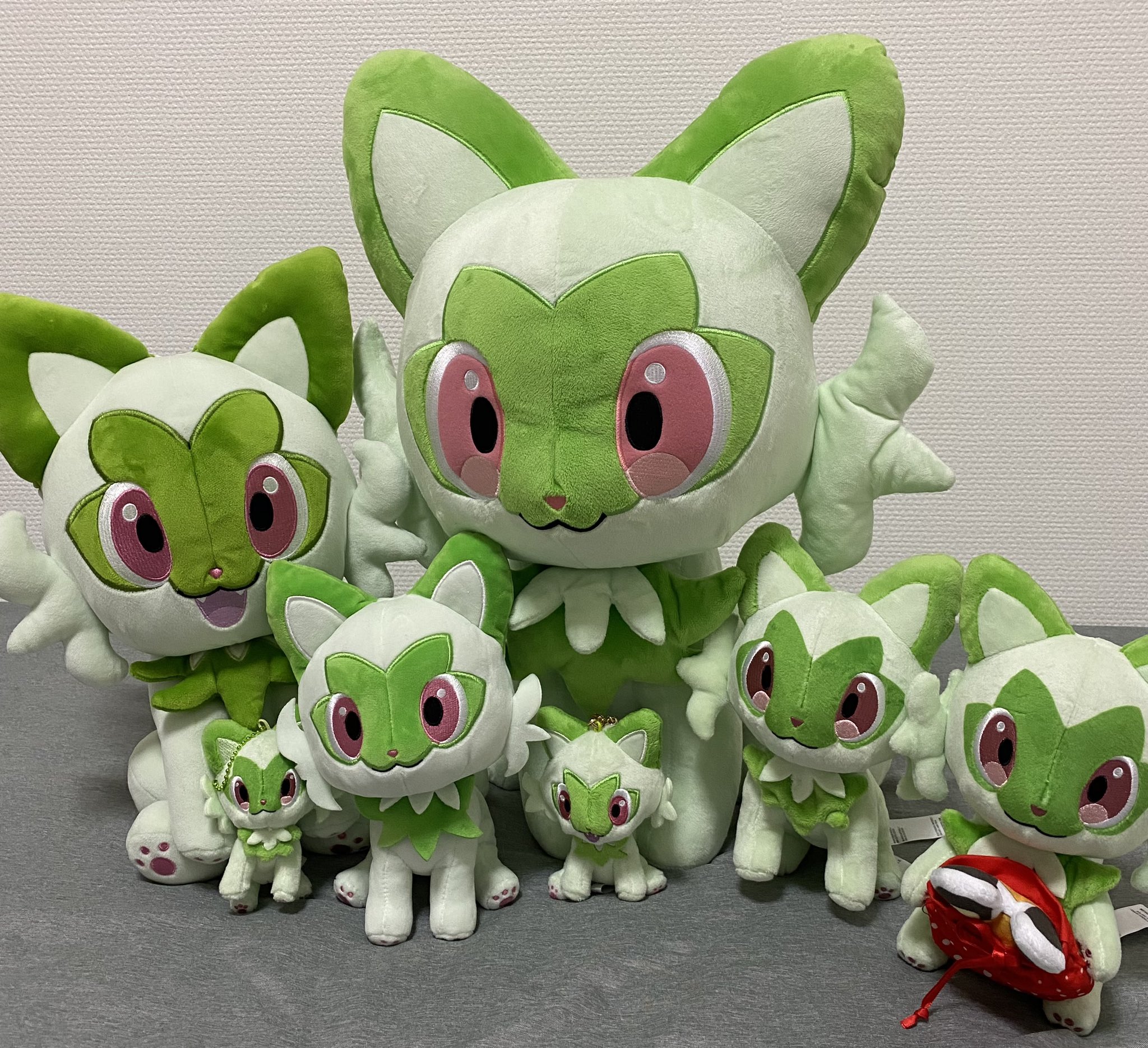 ピカピカボックス2025　 クワッス ホゲータ ニャオハ パモット 他ぬいぐるみ ピカピカボックス2025 クワッス ホゲータ ニャオハ パモット