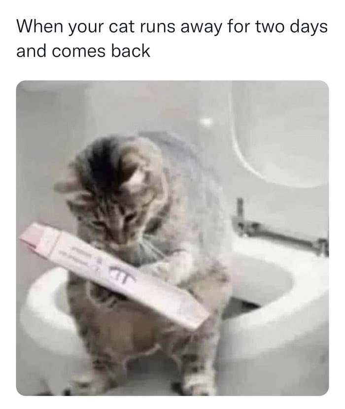 بالون tweet media