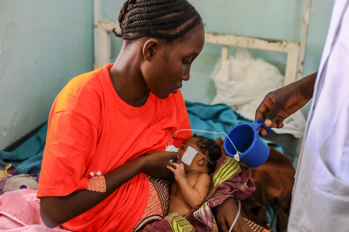 ALIMA_ORG's tweet photo. In Cameroon, at the Makary District Hospital, Adama has just given birth to two healthy twins 😍
We are proud to be able to help thousands of women give birth in optimal health conditions.
📸 Daniel Beloumou / ALIMA
#ALIMAngo https://t.co/WJUrvOSADZ