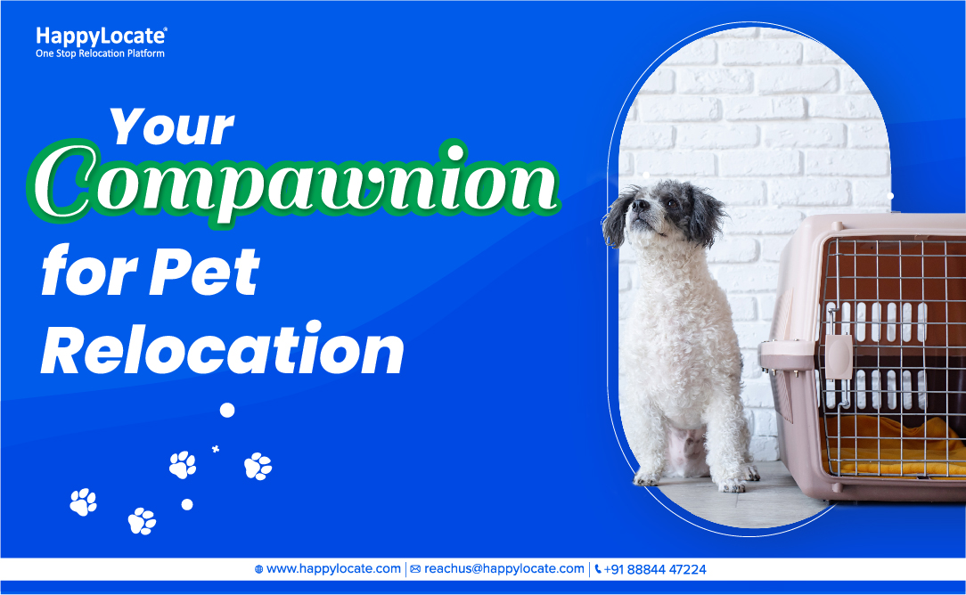 HappyLocate's tweet photo. India's No.1 Pet Relocation Service Provider
Making the best compawnion for your pet in this difficult journey.
We love your pet as much as you do!
#petrelocation #petshifting #petshipping
#moveyourpet #petmove🐶🐱 https://t.co/w8YkNICGFu