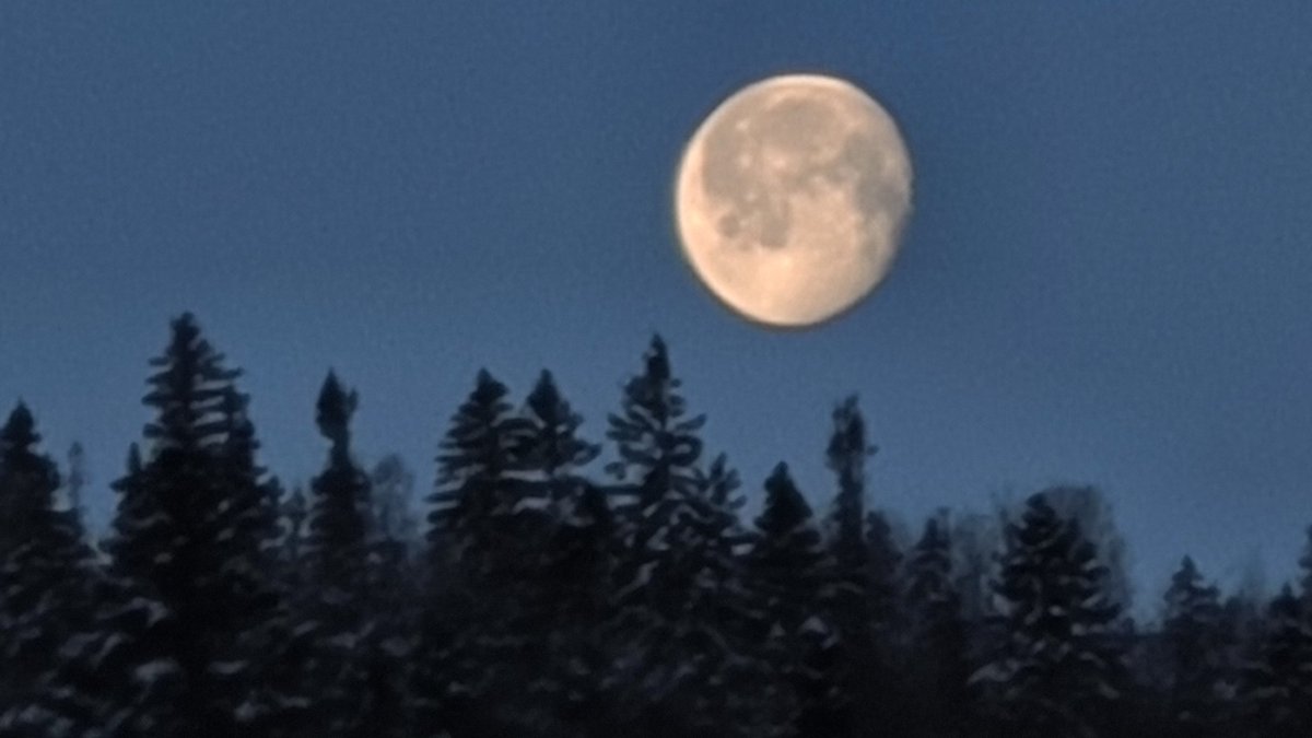 Aaron Pauley tweet media