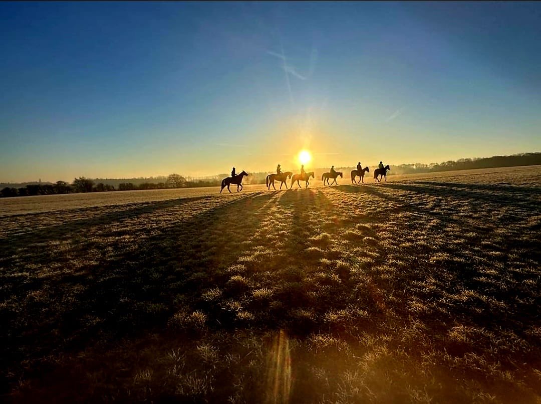 I’m the first to admit I’m the most fortunate man in the world not to have to commute to London every day or such like, but there are some days at Ballards Farm when I feel truly blessed and today was most definitely one of them #HappyHorses 🐎