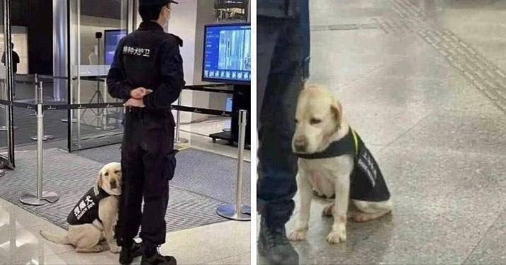 His first day at work...