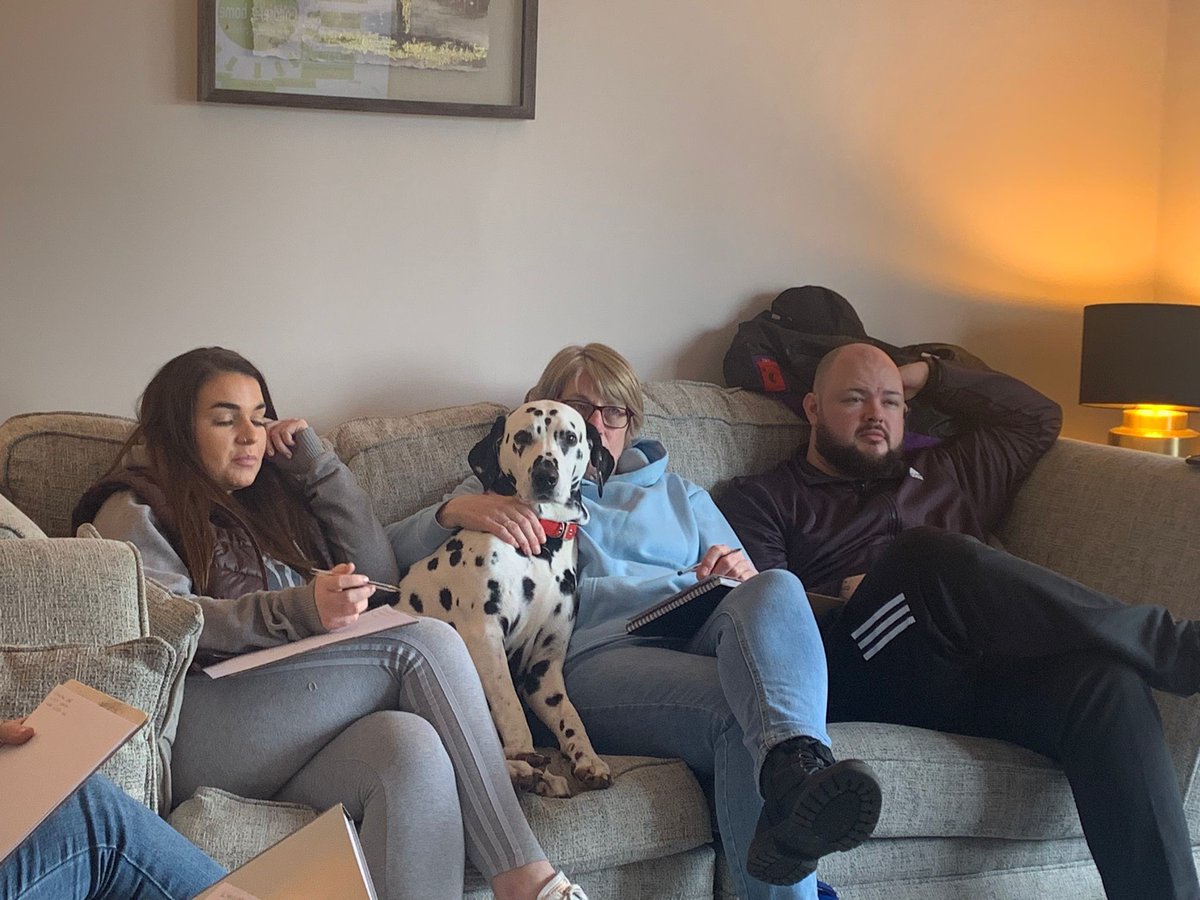 At Edison, we value #teammeetings to ensure the whole #team is on the same page and provide consistent and considerate #care to our young people. This obviously includes our #furry #colleagues... 
#furryteammate #pet #animallover #dog #doglover #dalmatian #doggylife #animal #love