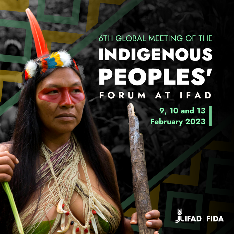 IFAD's tweet photo. What does the future look like when Indigenous Peoples lead #ClimateAction?
Learn more at the Indigenous Peoples' Forum at IFAD. 👇
#WeAreIndigenous