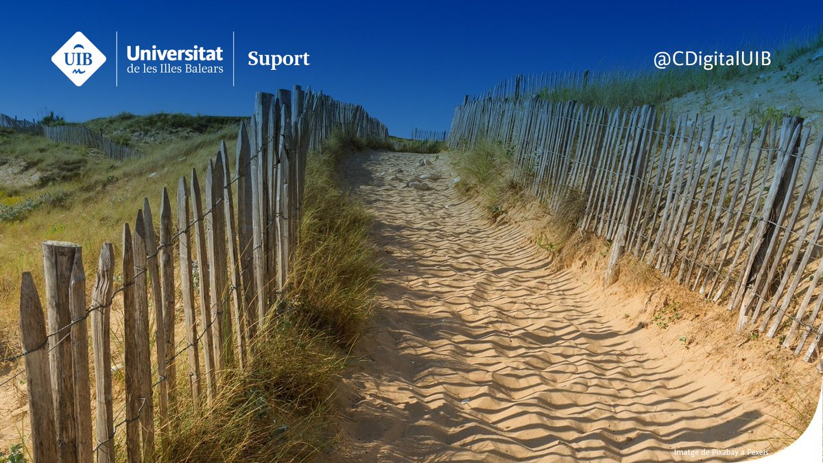 CDigitalUIB's tweet photo. 🙋‍♀️Ets PDI de les seus universitàries de la @UIBuniversitat a Eivissa i Formentera i Menorca? 

T'agradaria conèixer millor l'organització de les seus?
I voldries, a més, saber tot el que #CampusDigitalUIB pot fer per tu?

🙂Fet!
👉https://t.co/Neb1Oel11K. https://t.co/HuMfGctEvb