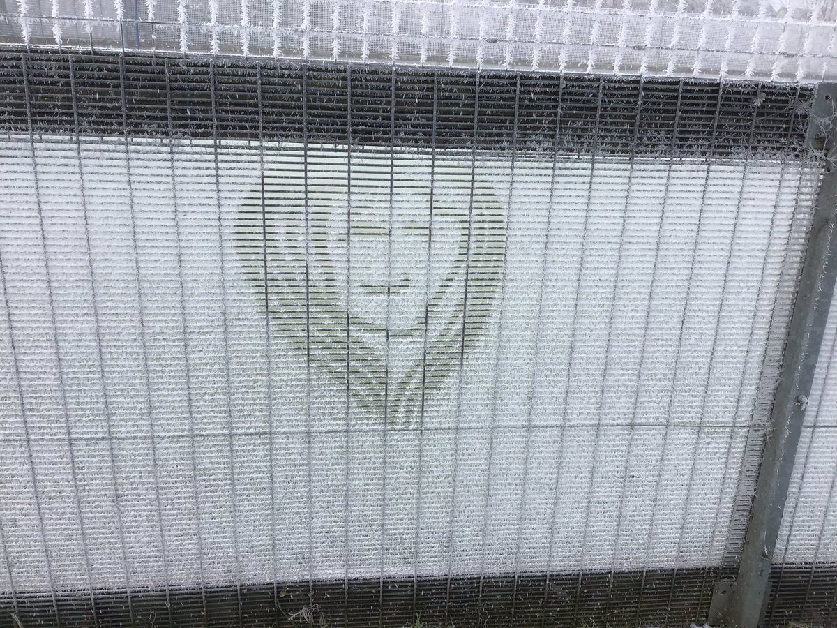 CharterY5's tweet image. The fog was too enticing to ignore this morning so we snuck outside for 15 minutes of misty learning. 
We haunted each other, made art in the frost and rolled tyres across the frosty grass. #CharterLiNE