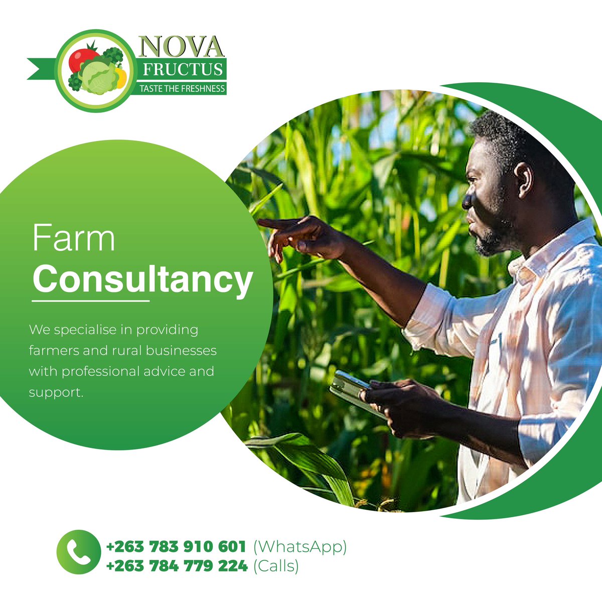 NovaFructus's tweet photo. Letโs talk farming!
From land preparation to harvesting we give you the best farming advice and tips you need .
Send us a message on WhatsApp: +263 783 910 601 for more information.
#novafructusfarming #farminginzimbabwe #zimbabweanfarmers #farmingtips #farmingconsultancy https://t.co/7MVsjFKfSM