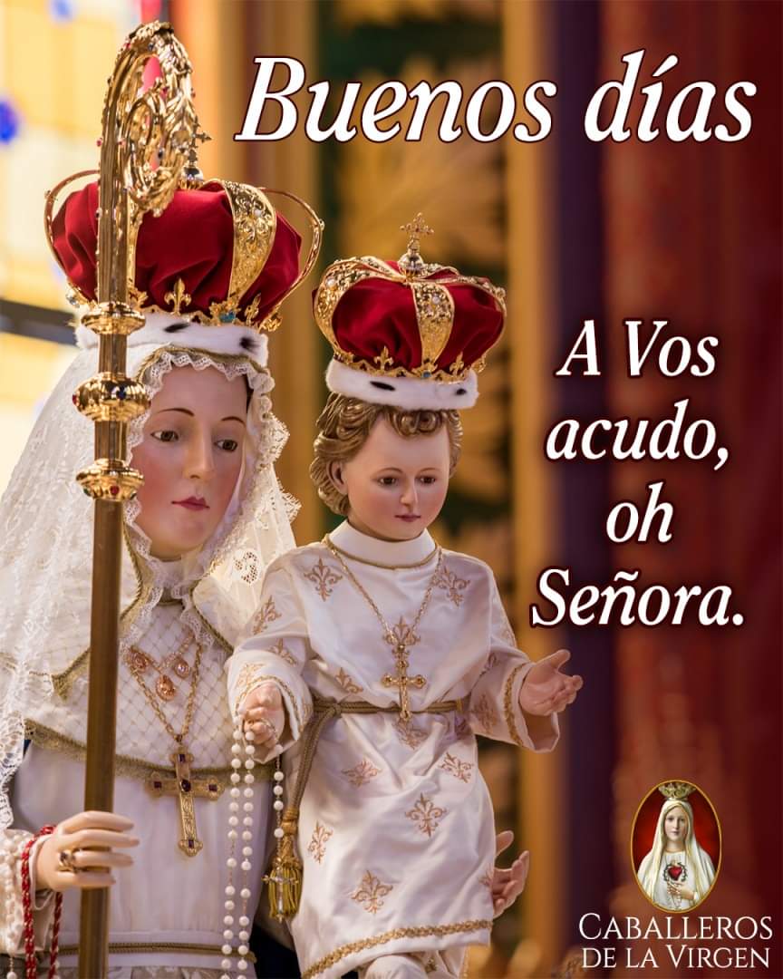 RuizHurtadoRE's tweet photo. Buenos Días!!!!
#Acordaos,
oh piadosísima Virgen María,
que jamás se ha oído decir
que ninguno de los que han acudido
a tu protección,
implorando tu asistencia
y reclamando tu socorro,
haya sido abandonado de ti.
Animado con esta confianza,
a ti también acudo, oh Madre.. https://t.co/6ow5jAPvj4