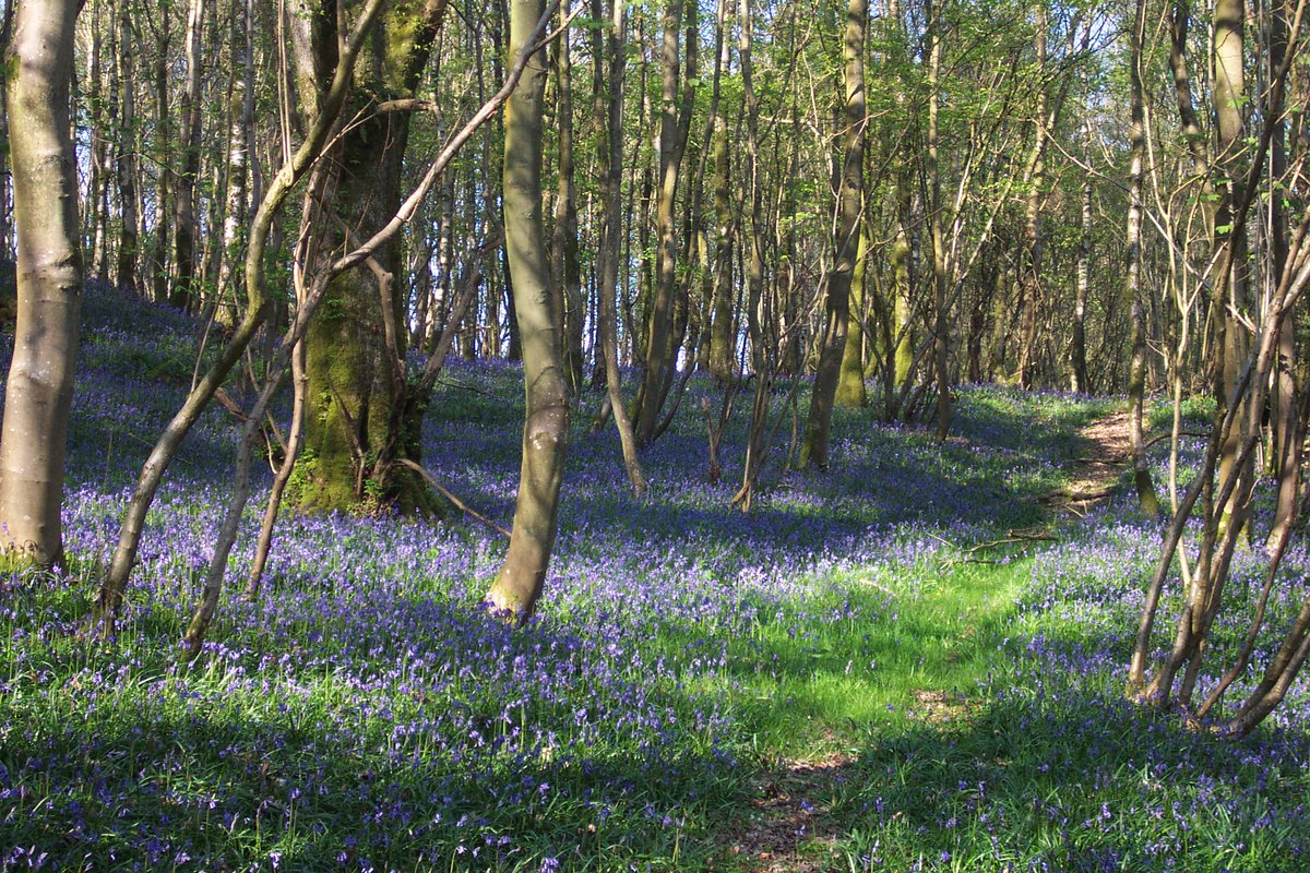 Spring is on its way, book a short break in our Cottages, with stunning views, and walks from your door. Use Promo code THORN10 for an extra 10% off including Half Term!

See website link in Bio to book.
#halfterm  #shortbreak #lastminute #lakedistrict #thornthwaitefarm