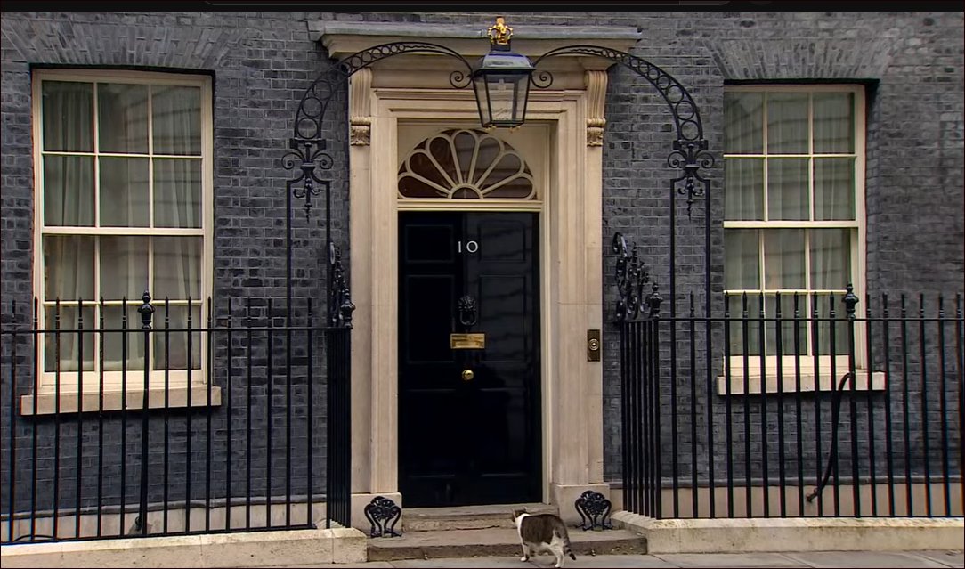 DESteve's tweet photo. @KyivIndependent Special Meeting with #KittyKit who just arrived as well at @10DowningStreet  :-) #SlavaUkraine https://t.co/EqJ11738Nf