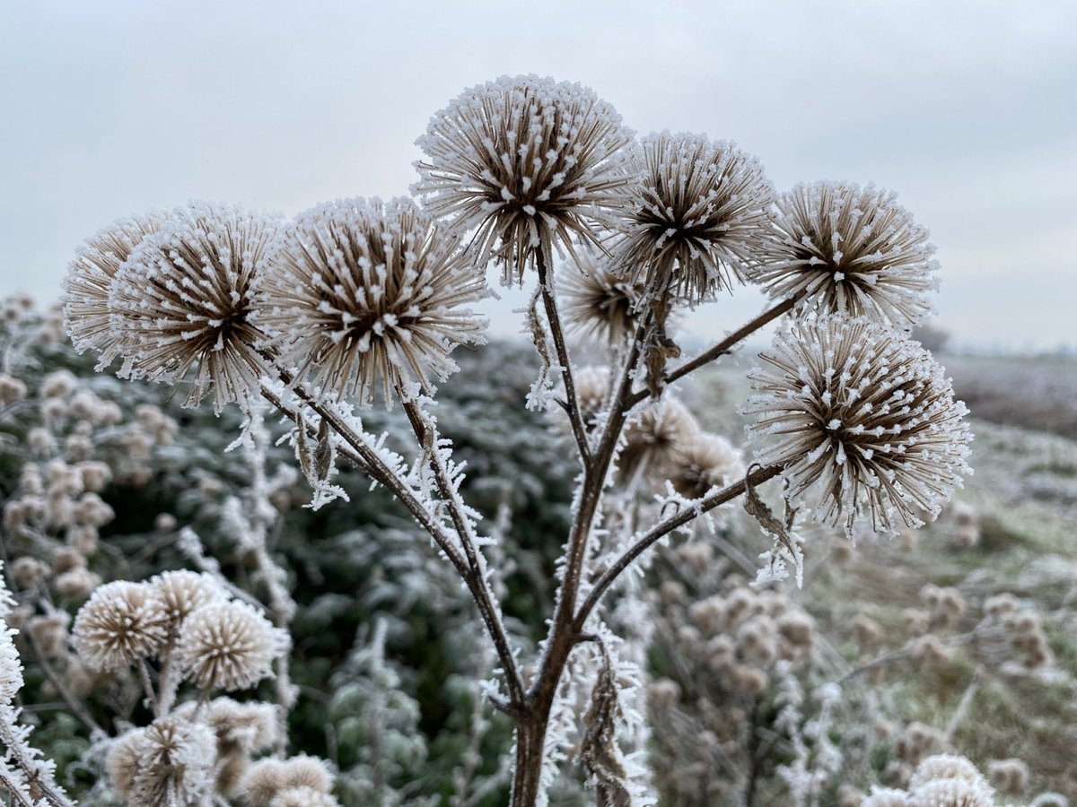 Another cold start on the fen this morning🥶❄️