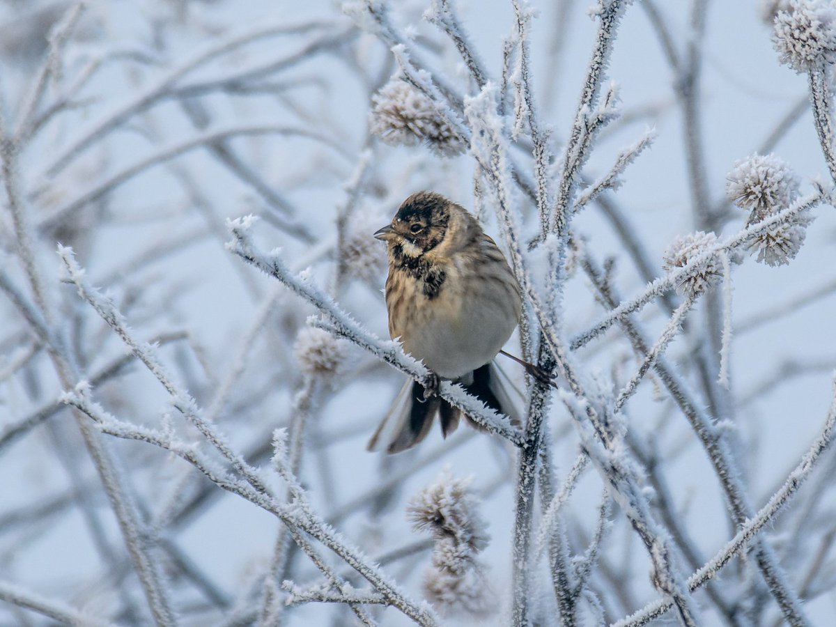 Tom Clarke 🇺🇦 🌻 tweet media