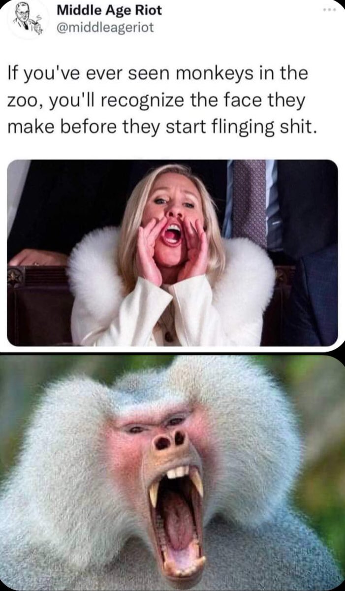 kellygirl2600's tweet photo. @JoJoFromJerz https://t.co/NFiYqNjnvZ