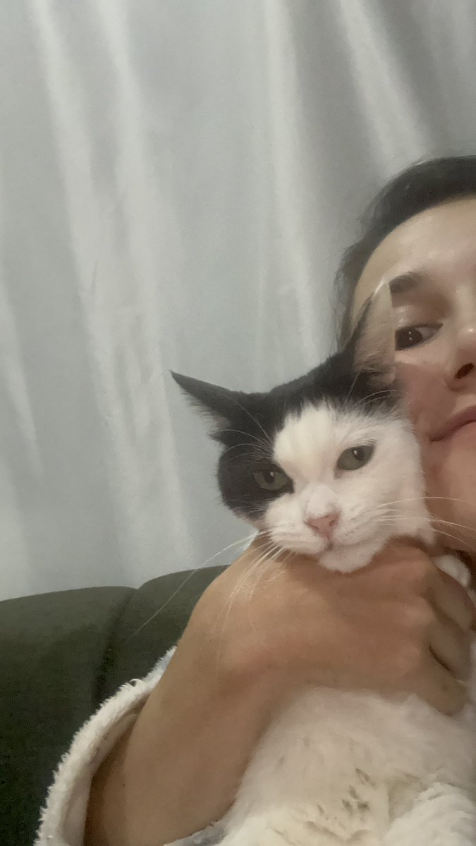 Hannahh1203's tweet photo. Kedim maya apartmanda mahsur kaldı çıkarken onu bulamadım. Lütfen yardım edin. Antakya Odabaşı mahallesi taşlı sokak yedinci katta duruyor lütfen yardım edin maya adına duyarlı smokin bir kedi. https://t.co/h0zyvYVE8f