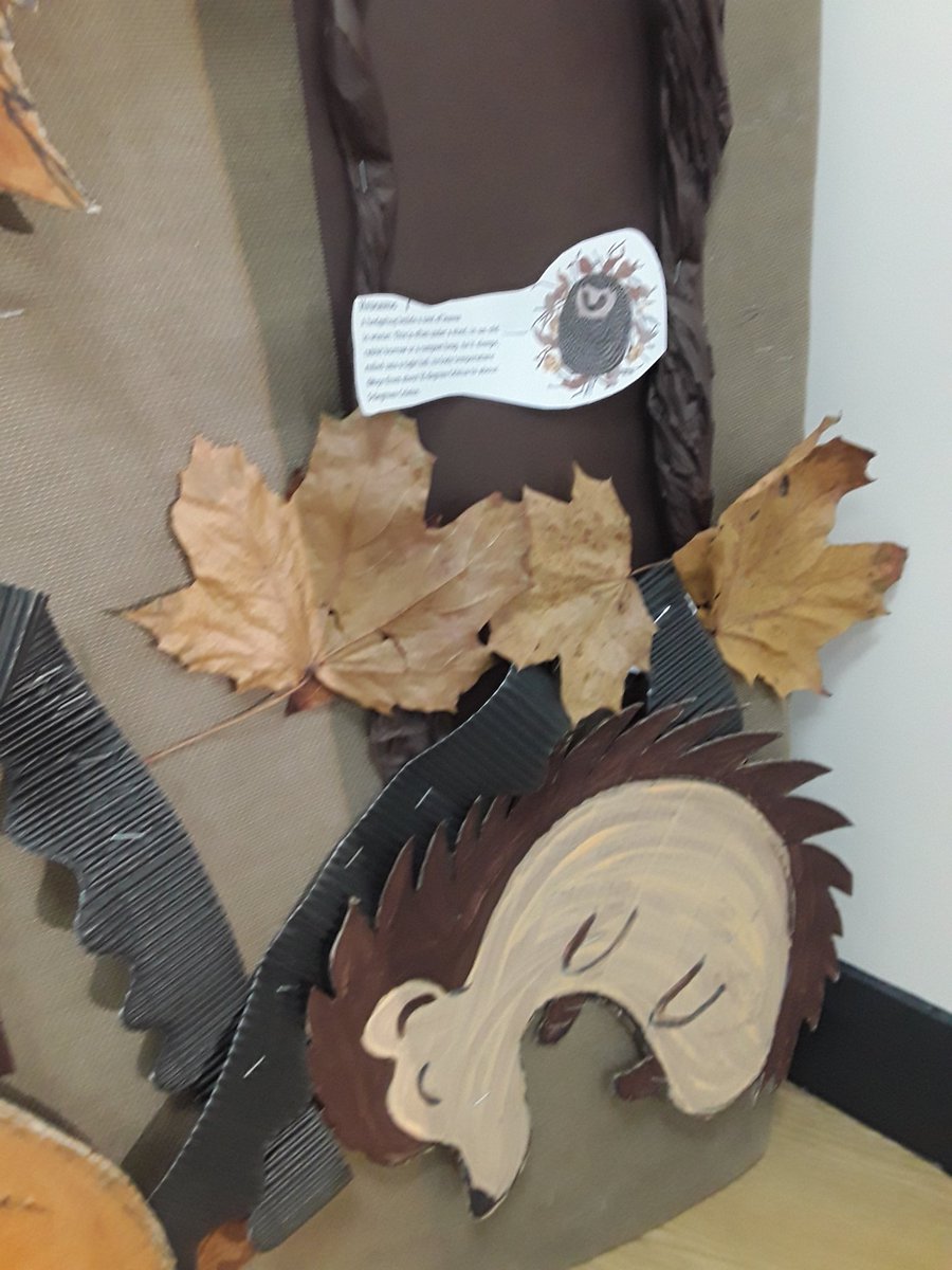 Ashbridge Nursery at Maxy Farm tweet media