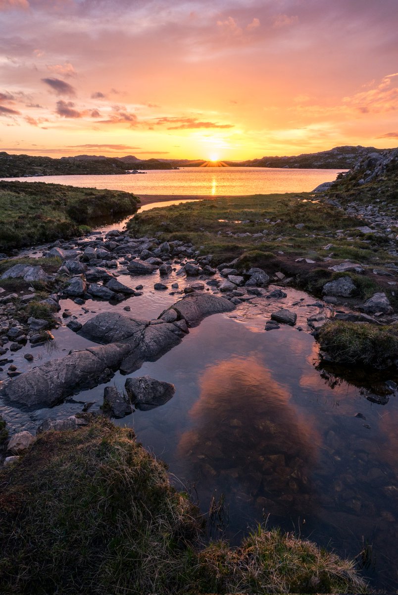 Munrodrifter tweet media