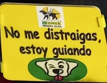 guardiacivil's tweet photo. Aunque pueda resultar irresistible acariciar a un #perroguía, recuerda que no debes distraer su atención. 
Su labor es indispensable para guiar a personas #ciegas o con #DiscapacidadVisual grave.

🔁 Haz RT y ayuda a concienciar
@ONCE_oficial  #SiempreCaminandoJuntos 🦮🧑‍🦯 https://t.co/6u36Bf2z57