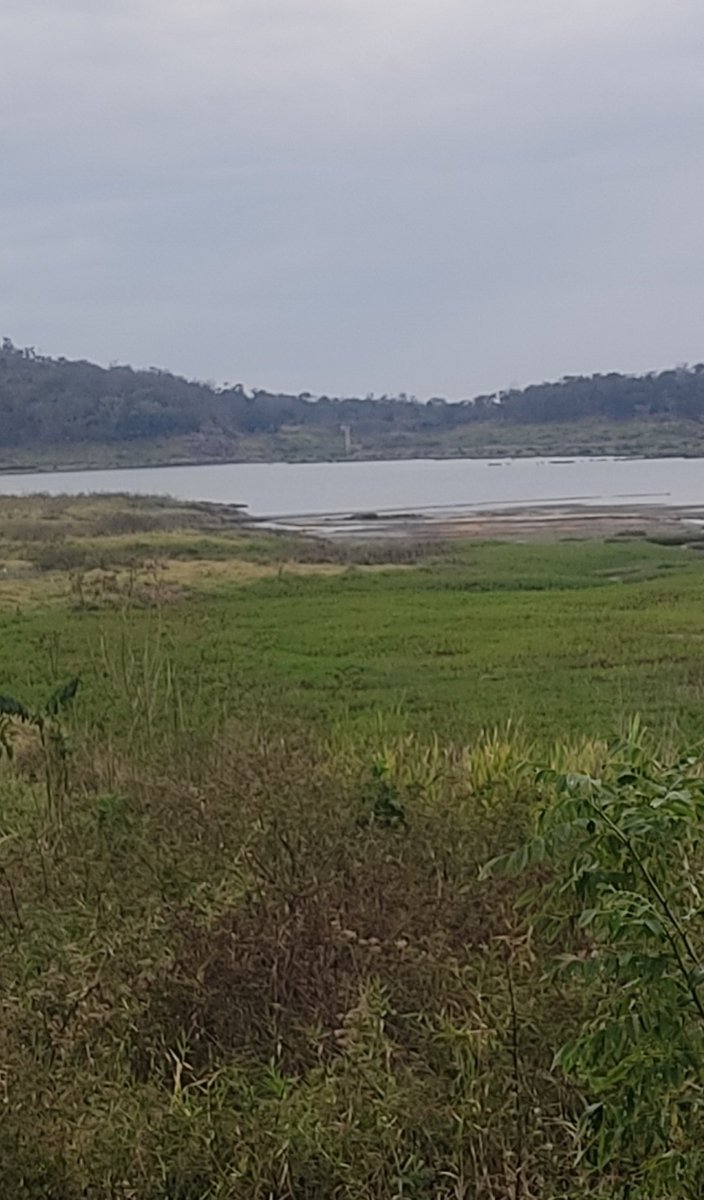 nizarrichani's tweet photo. Así se encuentra el Dique de Guataparo.
El Colegio de Ingenieros del Estado Carabobo y su Comisión del Agua ratifica su compromiso en colaborar técnicamente en la iniciativa de las Autoridades Regionales de recuperar ese importante cuerpo de Agua.
#ceidec https://t.co/X4dHuGxt3o