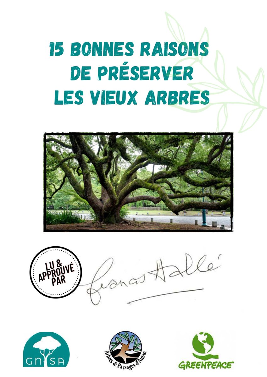 GnsaParis17's tweet photo. Une escroquerie courante consiste à nous dire que pour un arbre adulte abattu, un à deux jeunes arbres seront plantés.
Outre les difficultés de survie d'un jeune arbre et le temps long pour "remplacer" un arbre adulte, retenons 15 bonnes raisons de préserver les vieux arbres ! 🌳 https://t.co/z5uSx7ukdm