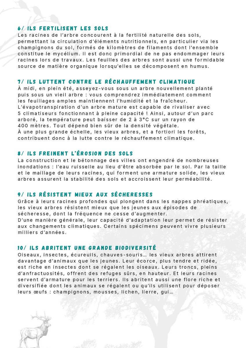 GnsaParis17's tweet photo. Une escroquerie courante consiste à nous dire que pour un arbre adulte abattu, un à deux jeunes arbres seront plantés.
Outre les difficultés de survie d'un jeune arbre et le temps long pour "remplacer" un arbre adulte, retenons 15 bonnes raisons de préserver les vieux arbres ! 🌳 https://t.co/z5uSx7ukdm