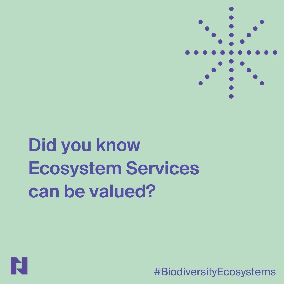 If we accept that #EcosystemServices should no longer be consumed "for free", there are a number of methodologies to value them. Economist Ralph Chami (Nomica´s advisor) describes a method to put a price tag on living elephant or a living whale population.
#BiodiversityEcosystems