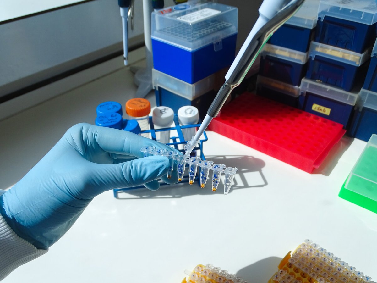 SETsquared tweet media