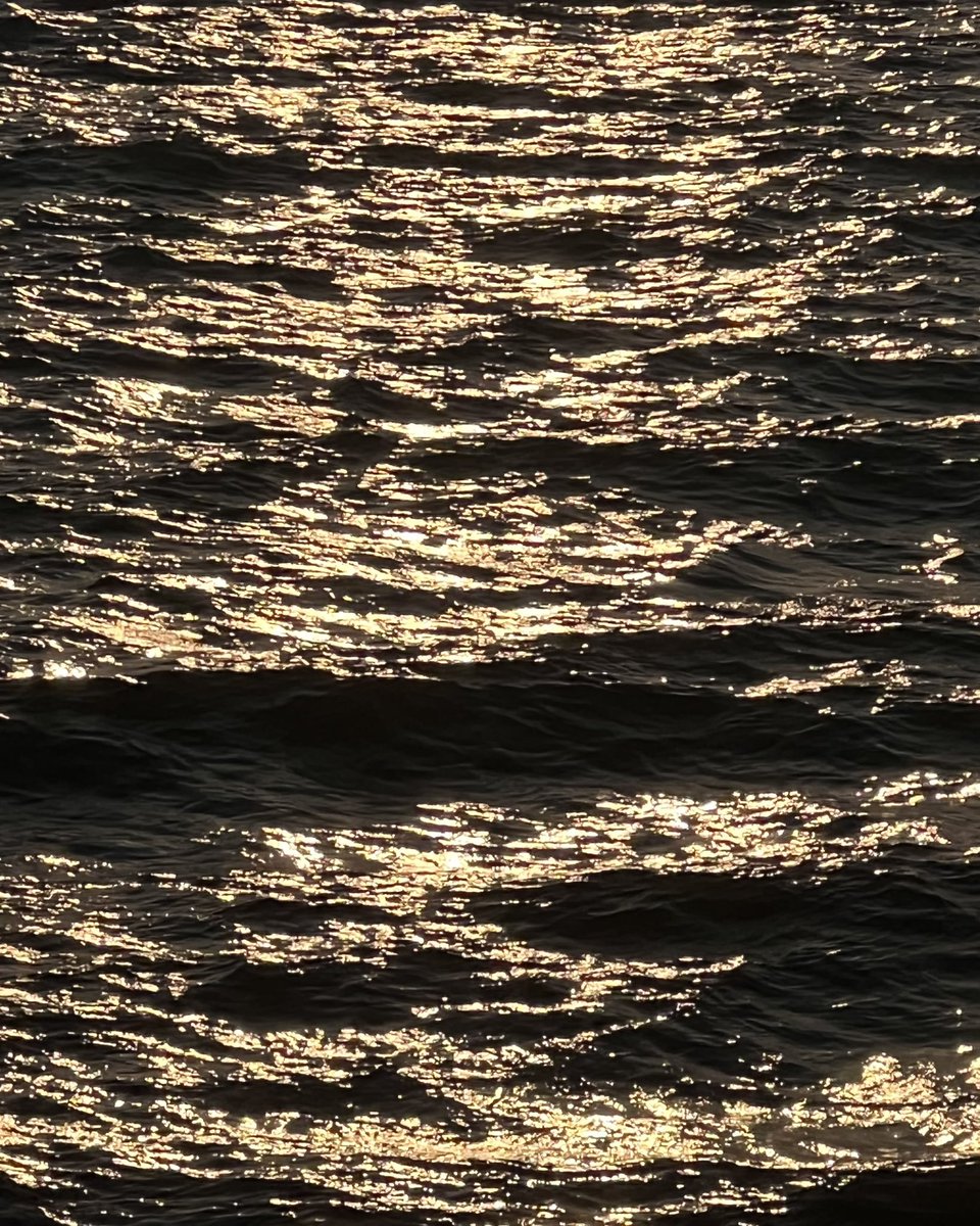 sgsupatt's tweet photo. 🌊 https://t.co/IsgqvXxhCq