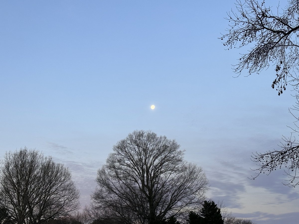 Junior 🌊 tweet media