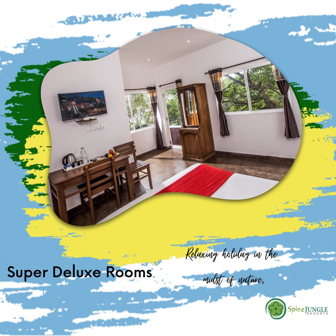 maathotels's tweet photo. https://t.co/cYGaoMv47R

+91 9526200081,82,83

Contact us For the Best Tour Packages https://t.co/VK7xGoSndr