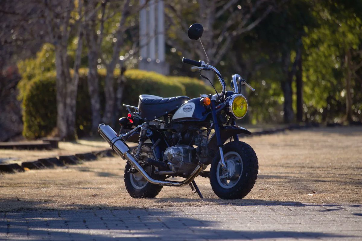 🥦ブラウン3223™︎🥦 tweet media