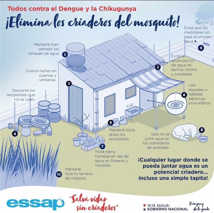Haupei24's tweet photo. De todos depende protegernos y cuidar a nuestros seres queridos. Limpia tu patio, colabora con tu calle y protege tu barrio. Todos en la lucha contra el dengue y la Chikugunya 🦟 #Paraguay 🇵🇾 #Dengue #Chikugunya https://t.co/afbTULIGZ2