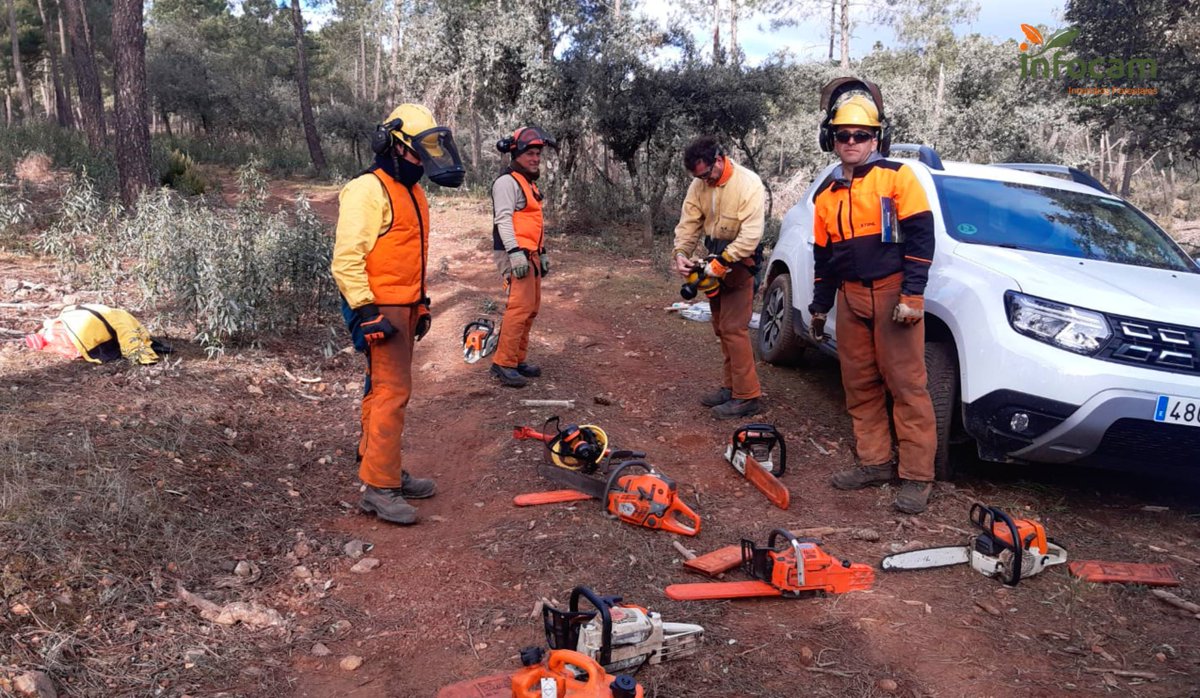 Plan_INFOCAM's tweet photo. Desde @Plan_INFOCAM de @gobjccm se realiza una formación para mejorar las capacidades de los #BBFF 👨‍🚒 y la efectividad del dispositivo. 

📸Entrenamiento de instructores de motosierra en Horcajo de los Montes #CiudadReal en práctica de apeo de pinos, cortes, derramado y tronzado. https://t.co/QOLMJiZiRM