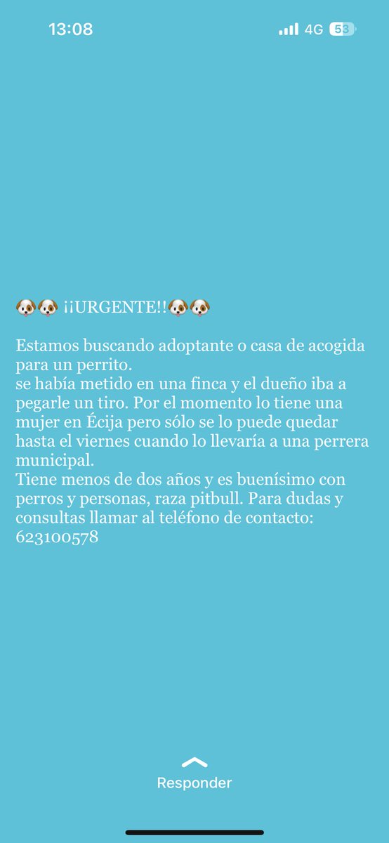 Marta26Lopez's tweet photo. Porfavor compartir 🙏🏼🙏🏼 https://t.co/5o9sQyX5un
