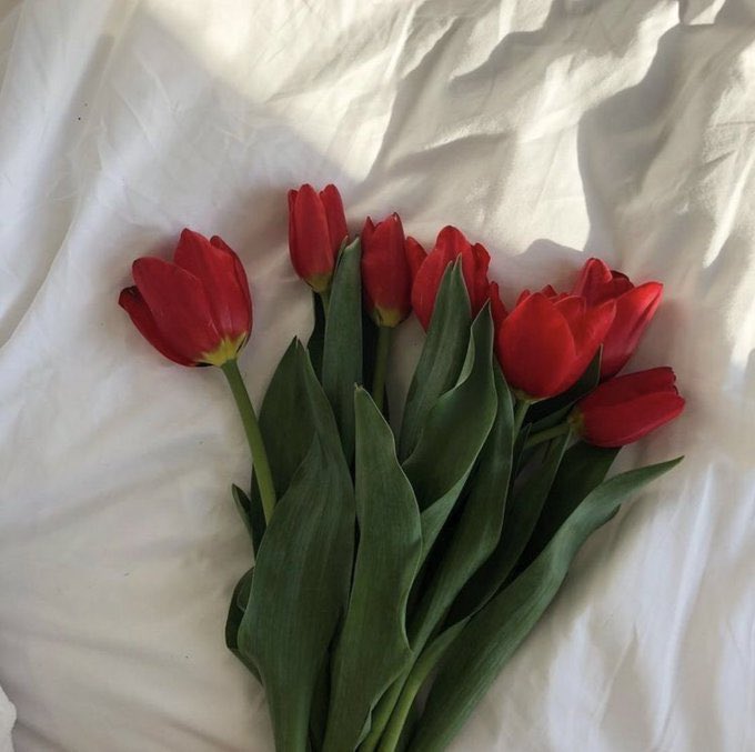 itmydefinition's tweet image. ทิวลิปแดง (น.)
ดอกไม้แห่งความรักที่จริงจัง เป็นความลุ่มหลงหรือแพสชั่นอันแรงกล้าในคนคนนั้นถึงคนที่เขารักนั่นเอง เหมือนต้องการบอกว่าความรู้สึกของเขาคือเรื่องจริง อีกความหมายคือ “ผมจะให้เกียรติคุณและรักคุณอย่างซื่อสัตย์”