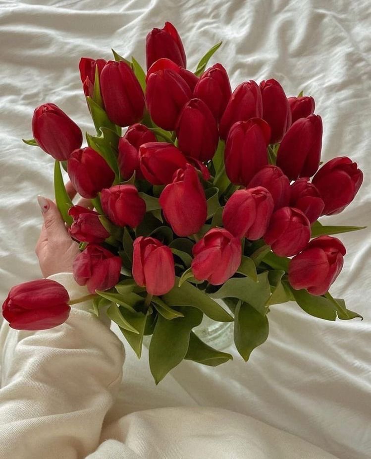 itmydefinition's tweet image. ทิวลิปแดง (น.)
ดอกไม้แห่งความรักที่จริงจัง เป็นความลุ่มหลงหรือแพสชั่นอันแรงกล้าในคนคนนั้นถึงคนที่เขารักนั่นเอง เหมือนต้องการบอกว่าความรู้สึกของเขาคือเรื่องจริง อีกความหมายคือ “ผมจะให้เกียรติคุณและรักคุณอย่างซื่อสัตย์”