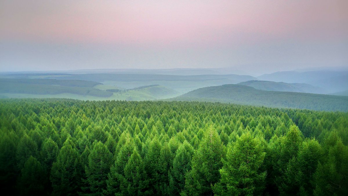 teamtreexyz's tweet image. #whyoffset By offsetting their carbon emissions, companies can demonstrate their commitment to sustainability and inspire others to follow suit. #LeadByExample