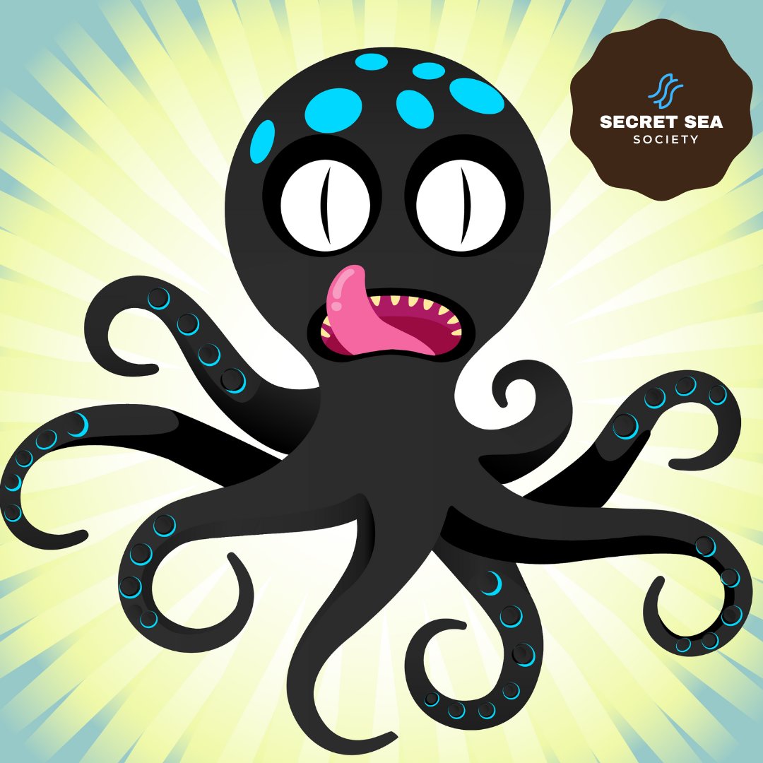 Secret Sea Society tweet media