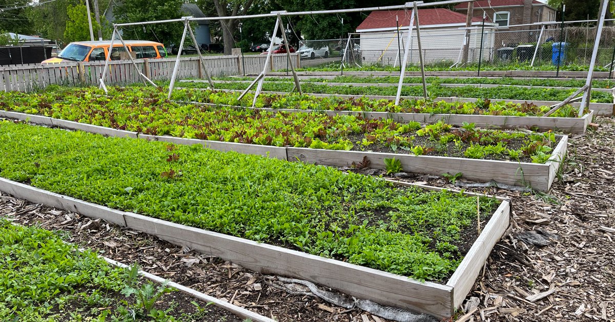 Illinois Farm Bureau on Twitter "The USDA is offering up to 7.5