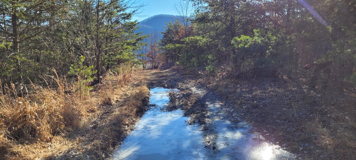 HenrikeVeith's tweet photo. @Rowan_Author West Virginia. Sometimes I feel like I'm in the wild west and other times,  like I'm on Mars and nothing seems as it is. https://t.co/AhbJo8TuUS