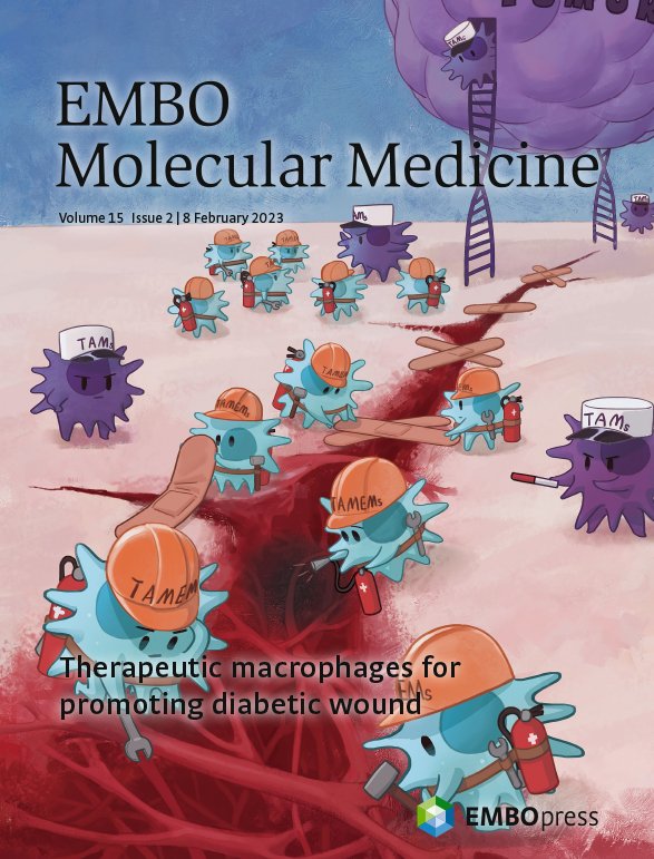 EmboMolMed's tweet photo. 📢Our February issue is online today!
Review on #PanethCells, articles on #AlzheimersDisease, #stroke, #CADASIL, #leukemia, #Qfever, #ChronicKidneyDisease, #DiabeticWoundHealing (our cover) & more!
👉Read fully #openaccess: https://t.co/V2OH9wWAZH https://t.co/AL7ZZWS8HO