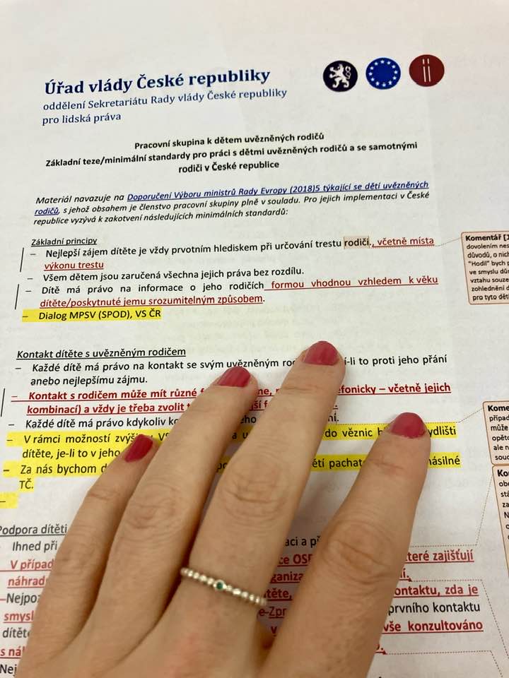 laurencikova_k's tweet image. Pokračujeme v tvorbě minimálních standardů pro práci s dětmi uvězněných rodičů a se samotnými rodiči v České republice.  Díky za skvělou spolupráci kolegyním a kolegům z resortů, nevládním organizacím i Vězeňské službě ČR.