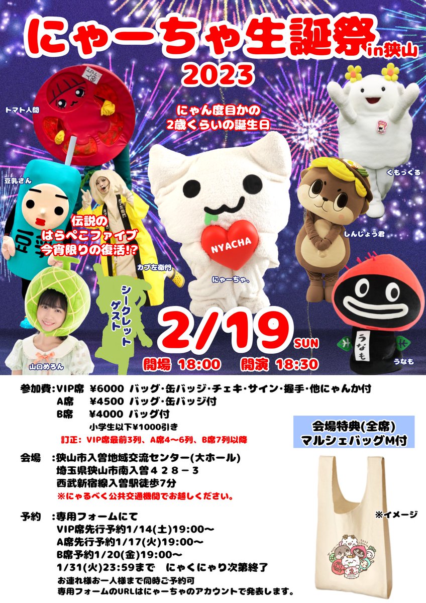 リピート nyacha様 専用 バランサー - www.youthbusiness.bb