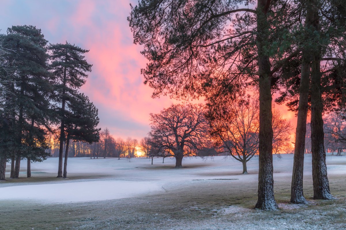 stowgolfclub's tweet photo. We have a pretty parkland course set in the countryside with lots of wildlife and wonderful views. We're proud of how beautiful our course looks through every season. https://t.co/YVQCKeusdX