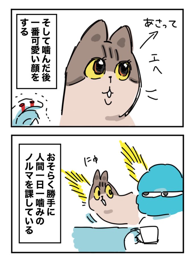 日記
猫、噛む 