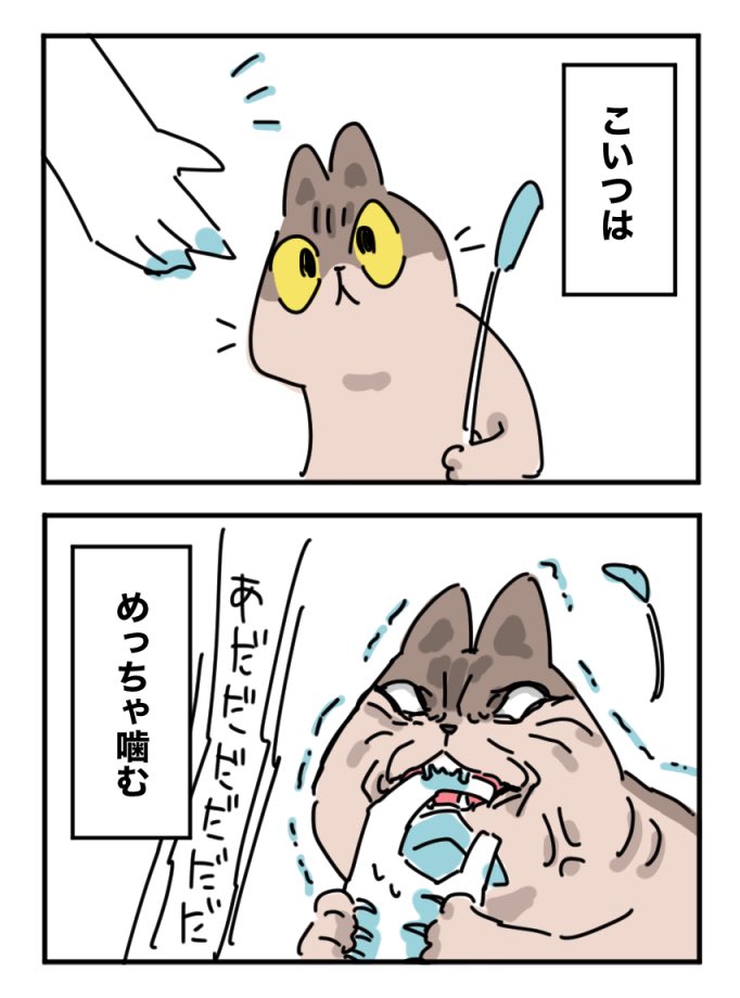 日記
猫、噛む 