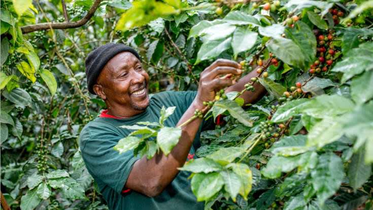 Chrismottley's tweet photo. #FairtradeFortnight is from 27 February to 12 March 2023. Your local @coopuk  Member Pioneer team will be showcasing Co-op's work with Fairtrade.  Pop along and visit us at the Ansdell store 11 March🌱information below ⬇️ @FairtradeUK @FyldeFairTrade 
https://t.co/FM0aoqenMZ https://t.co/EKvbDNFaB2