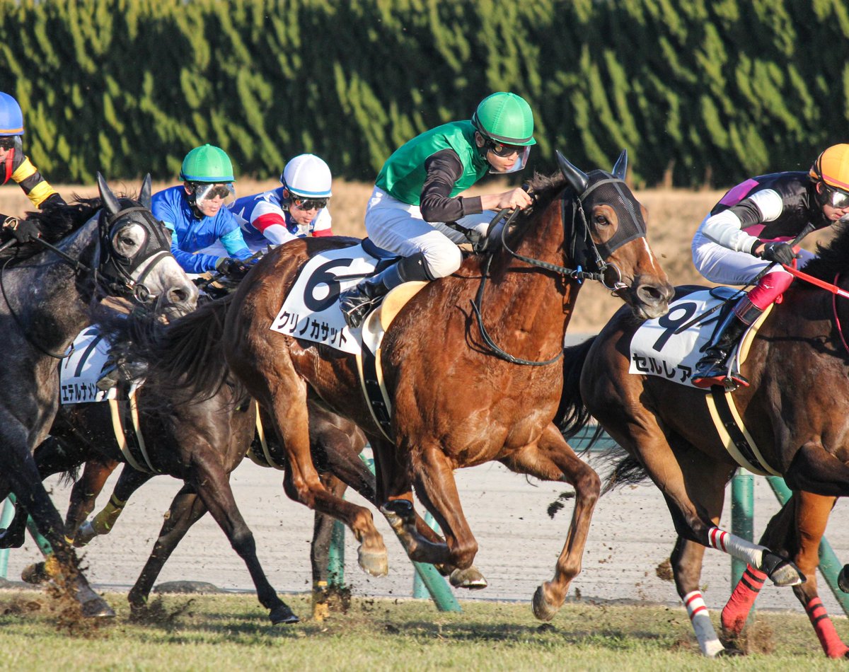 クリノカサットが宙に浮いてますね☺ 